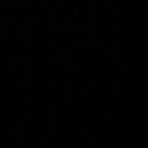 Meet your Posher, Noah